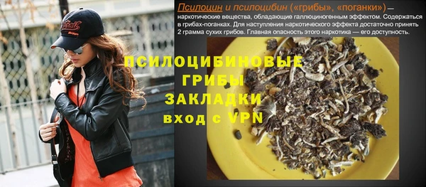 apvp Дмитриев